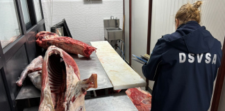 Carmangerie din Huși amendată cu 40.000 de lei, 300 de kilograme de carne de vită și oaie confiscate