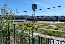 Pe locul fostului Bazar, Primăria Vaslui va face parcare