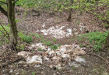 320 de pui de găină, în diferite stadii de dezvoltare, abandonaţi într-o pădure. Anchetă a autorităţilor