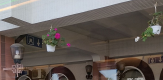 Gara cu flori! „Felicitări Vaslui!”