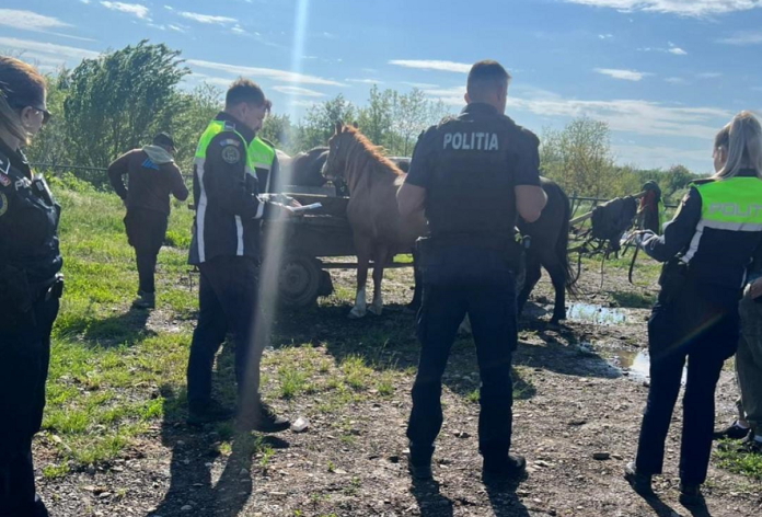 Politisti controale animale protectia animalelor lege targ
