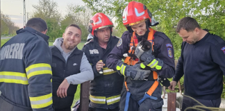 Pisică salvată de pompieiri din Murgeni dintr-o fântână adâncă de 7 metri, la Cîrja
