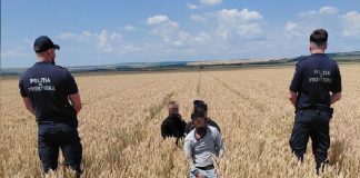 Trei emigranți ilegali din Bangladesh, depistați în Vetrișoaia după ce au traversat înot Prutul