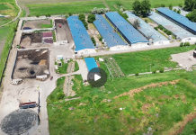 Garda de Mediu monitorizează ferma avicolă de lângă municipiul Vaslui