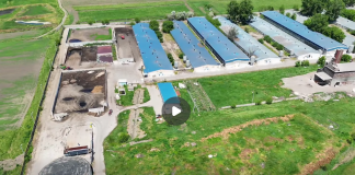 Garda de Mediu monitorizează ferma avicolă de lângă municipiul Vaslui
