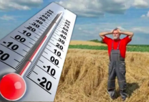 De luni, temperaturi ridicate și ploi puține