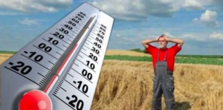 De luni, temperaturi ridicate și ploi puține
