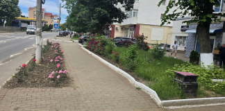 Primarul din Negrești își laudă concetățenii pentru contribuția lor la înfrumusețarea orașului