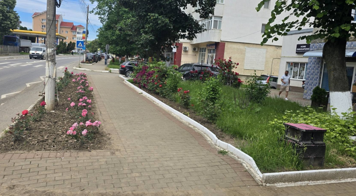 Primarul din Negrești își laudă concetățenii pentru contribuția lor la înfrumusețarea orașului