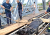 Intervenție a pompierilor pentru salvarea unui cal rămas blocat pe o cale ferată, la Bârlad