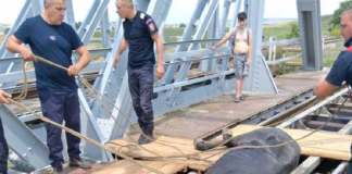 Intervenție a pompierilor pentru salvarea unui cal rămas blocat pe o cale ferată, la Bârlad
