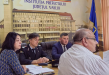Prefectul solicită fonduri de urgență pentru comunele Dodești și Epureni, afectate de alunecările de teren