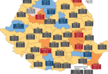 Vasluienii preferă mașinile Dacia