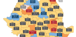 Vasluienii preferă mașinile Dacia