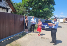 În atenția bârlădenilor: câinii cu stăpân trebuie sterilizați!