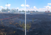 Incendiu de vegetație la Vetrișoaia. Cinci hectare mistuite de flăcări