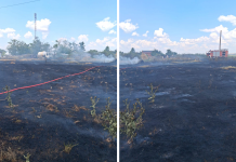 Incendiu de vegetație la Vetrișoaia. Cinci hectare mistuite de flăcări