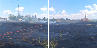 Incendiu de vegetație la Vetrișoaia. Cinci hectare mistuite de flăcări