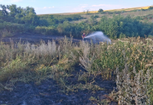 Două incendiu de vegetaţie uscată, în Duda-Epureni și Băcani. Pompierii transmit măsuri de prevenire