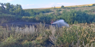 Două incendiu de vegetaţie uscată, în Duda-Epureni și Băcani. Pompierii transmit măsuri de prevenire