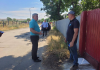 Campanie pentru sterilizarea gratuită a câinilor cu stăpân, la Bârlad