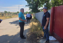Campanie pentru sterilizarea gratuită a câinilor cu stăpân, la Bârlad