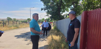 Campanie pentru sterilizarea gratuită a câinilor cu stăpân, la Bârlad