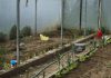 Pregătirea solarului toamna: plan complet pentru culturile de sezon rece