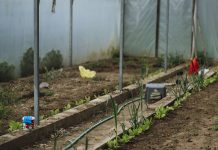 Pregătirea solarului toamna: plan complet pentru culturile de sezon rece