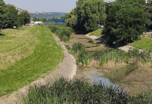 Primăria Vaslui lansează consultare publică la proiectul „Regenerare urbană zona râului Delea”