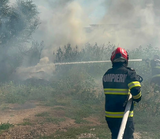 Cu 57 de incendii de vegetație de la începutul lunii și 10 intervenții într-o singură zi, pompierii fac apel la responsabilitate