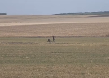 Dronă prăbuşită pe un câmp în Viișoara. Zona a fost izolată şi verificată de un echipaj pirotehnic al SRI