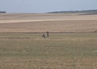 Dronă prăbuşită pe un câmp în Viișoara. Zona a fost izolată şi verificată de un echipaj pirotehnic al SRI