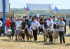 Cele mai frumoase exemplare de cai, oi, capre, vaci și câini de rasă, la ediția a 18-a a Expo Zoo Vaslui