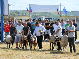 70 de crescători își prezintă exemplarele de animale la Expo Zoo