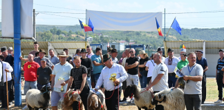 Cele mai frumoase exemplare de cai, oi, capre, vaci și câini de rasă, la ediția a 18-a a Expo Zoo Vaslui